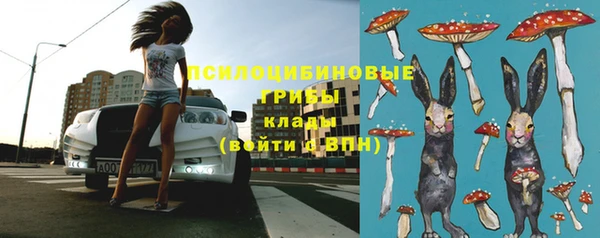 МДМА Алексеевка